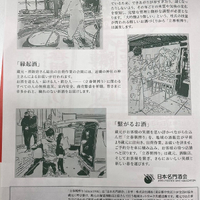 画像355
